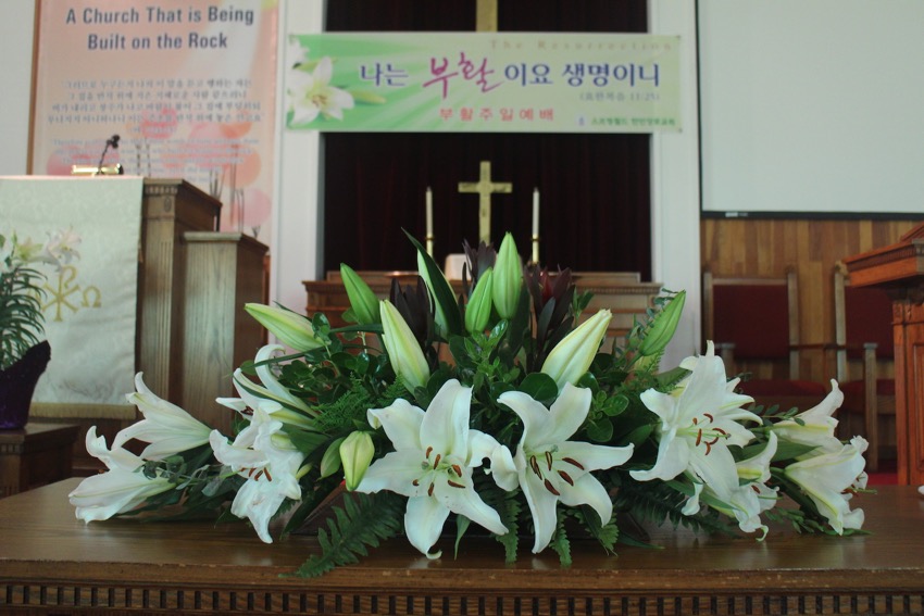 03.jpg